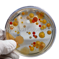 Bacterial Endotoxin Testing Services
