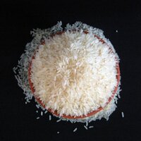 Ir64 Rice - Crop Year: 10000 Hours