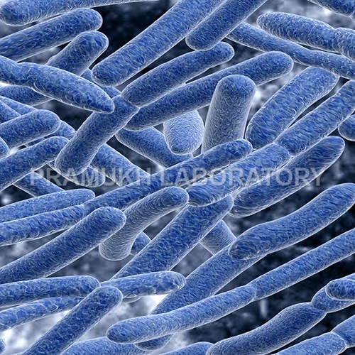 Parasites Testing Services