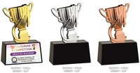 Metal Cup Trophies - Finishing: Polished