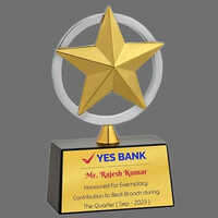 10 Inch Metal Trophies - Finishing: Polished