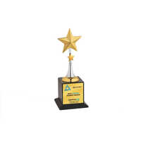 Corporate Award Trophy - Wooden Base, 10-15 Inches Tall, Various Colors, Polished Metal Finishing, Star-shaped Design For Corporate Excellence