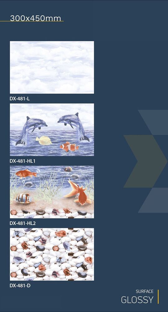 300x450 fish concept  wall tiles