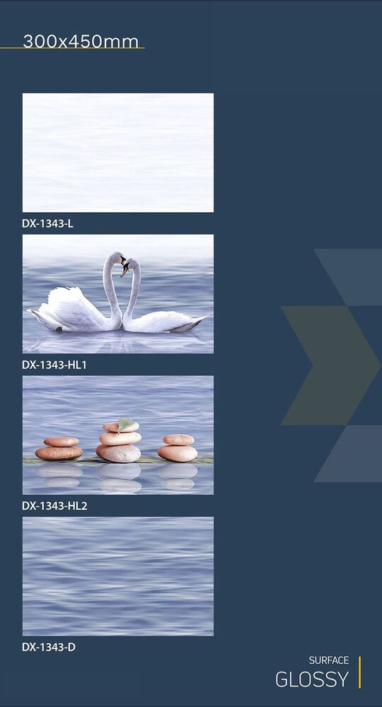 300x450 fish concept  wall tiles