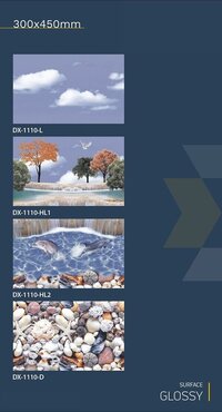 300x450 fish concept  wall tiles