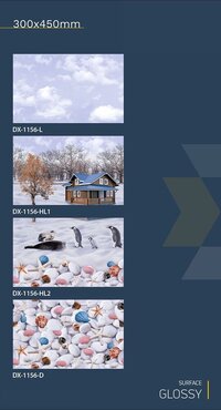 300x450 fish concept  wall tiles