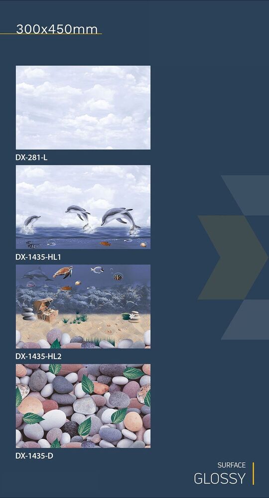 30x45 Ceramic Wall Tiles fish concept