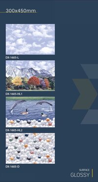 30x45 Ceramic Wall Tiles fish concept