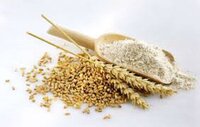 White Whole Wheat Flour