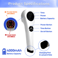 Hand-held Physical Treatment Low-level Infrared Light Cold Laser Therapy