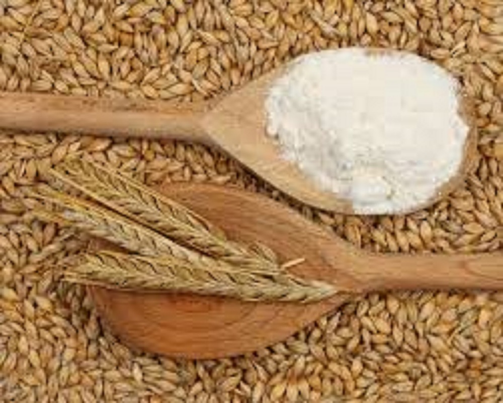 Barley flour