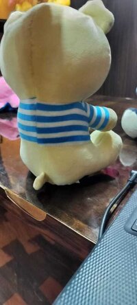 LINING TEDDY BEAR SOFT TOYS