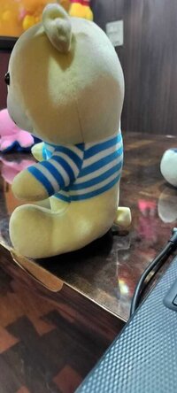 LINING TEDDY BEAR SOFT TOYS