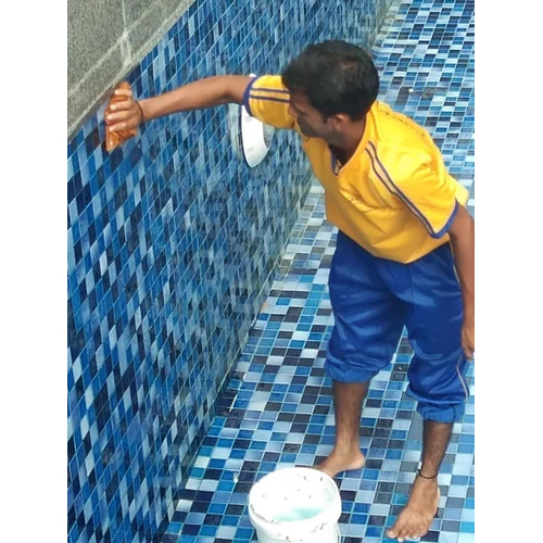 Swimming Pool Cleaning Services