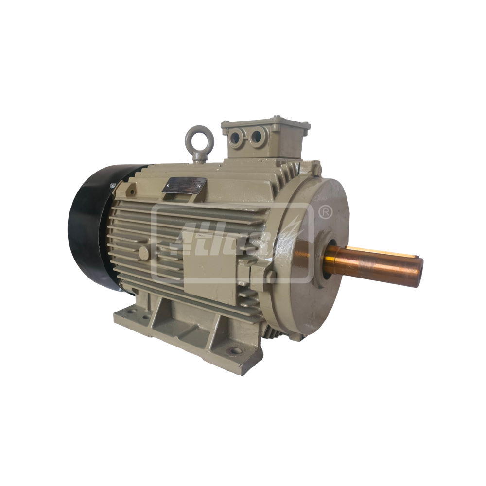 Two Speed Motors