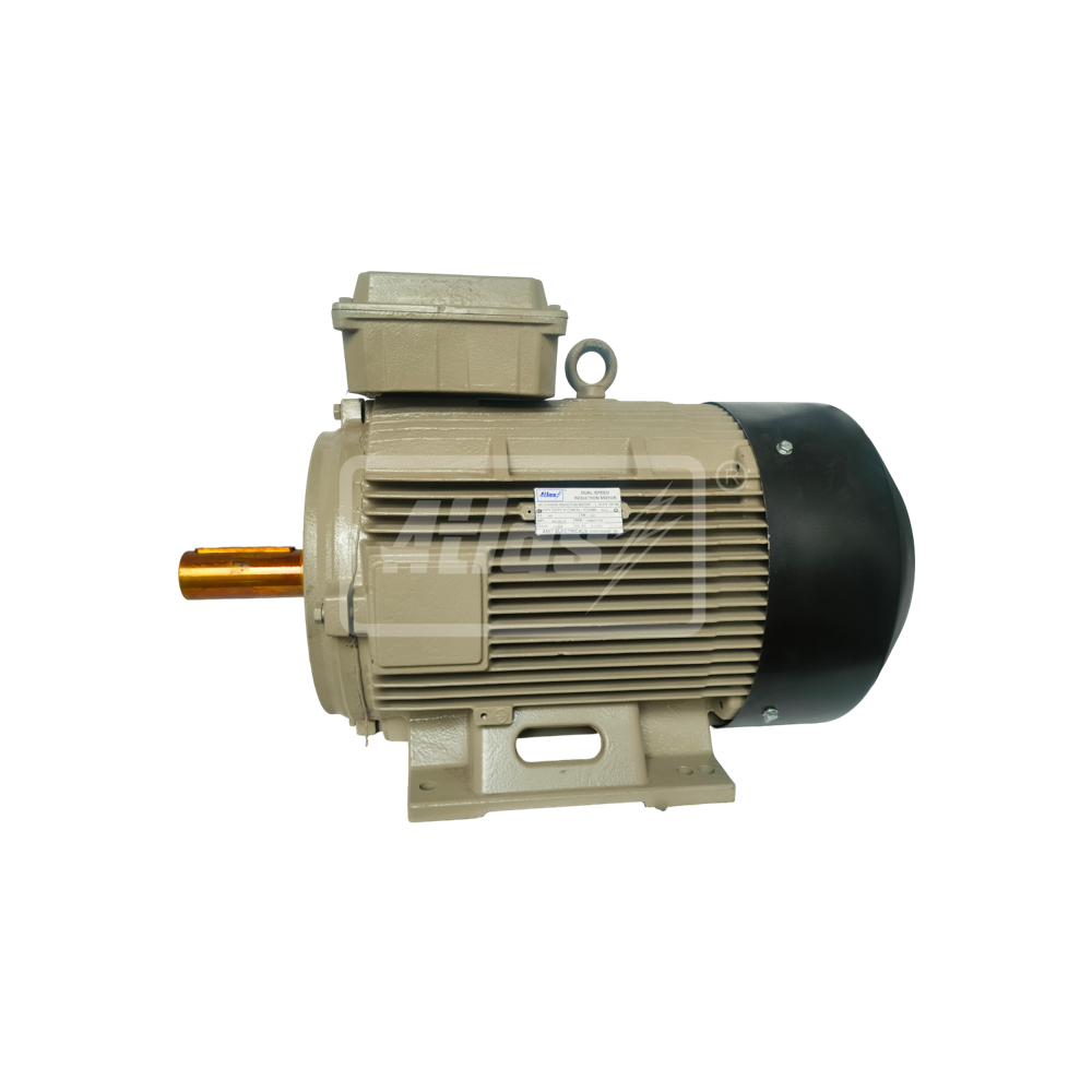Two Speed Motors