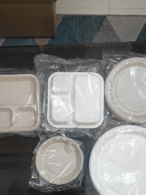 Disposable tableware plates and bowls