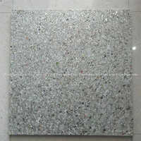 Recycle Plastic Fly Ash Brick Pallet - Color: Black