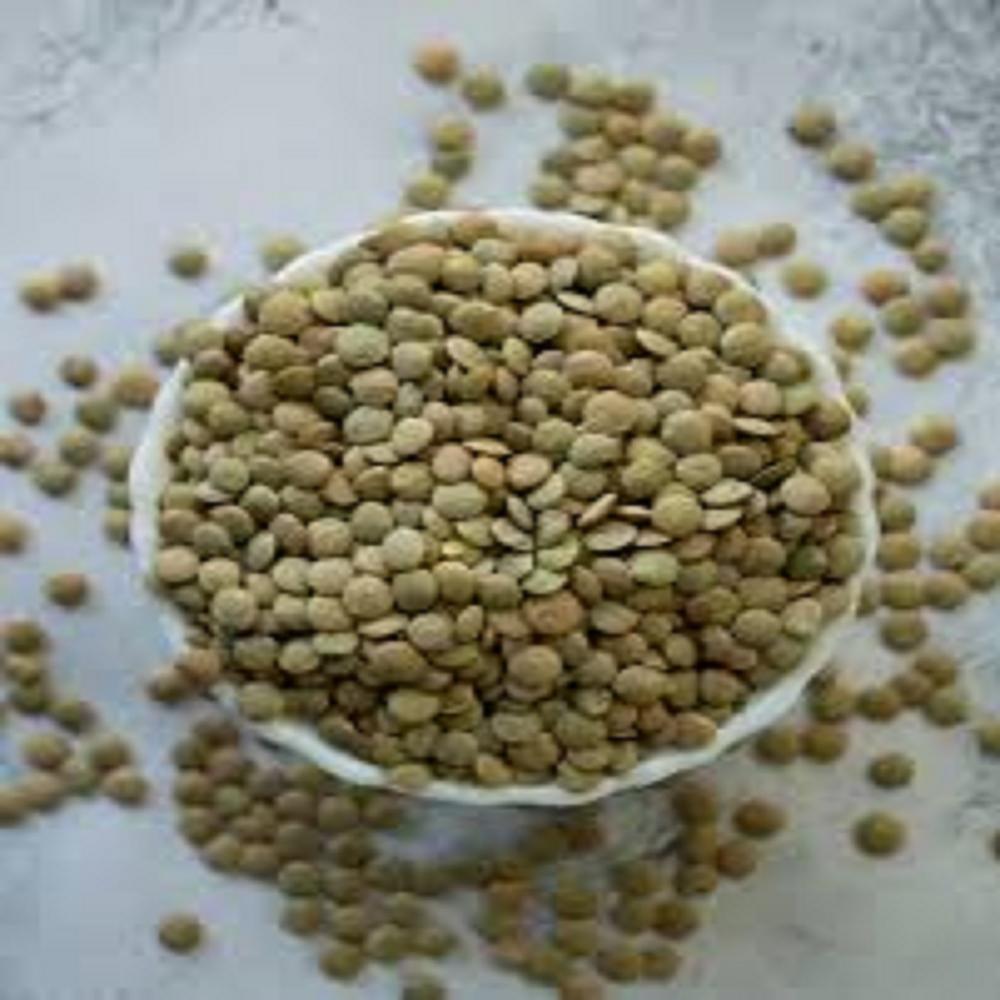 Green lentils