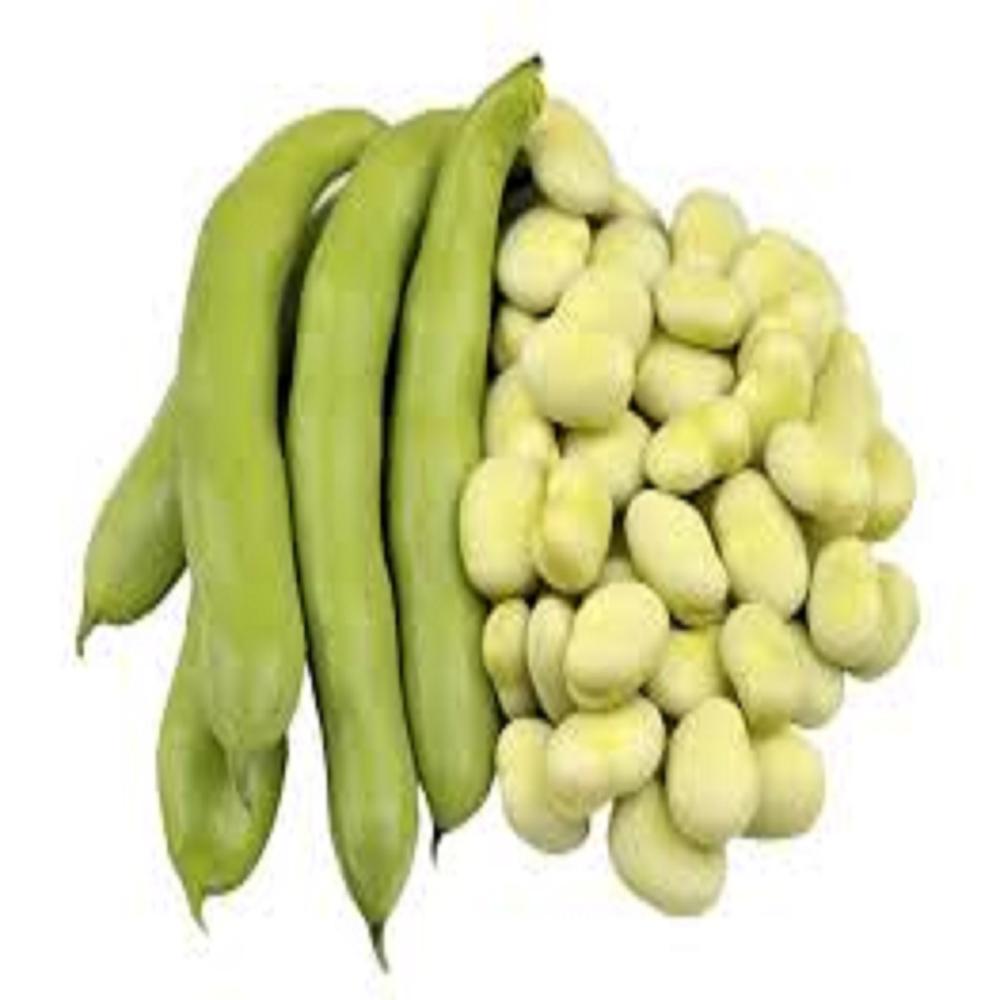Faba beans