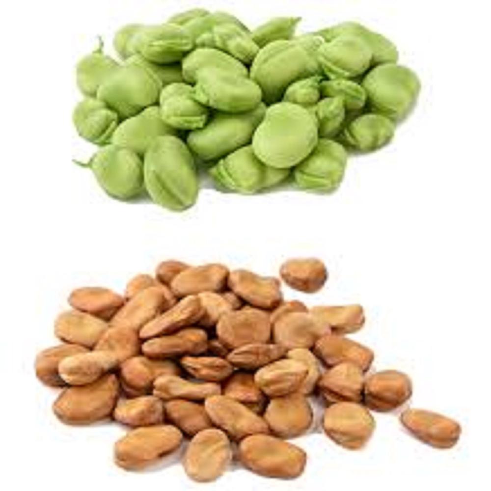Faba Beans - Shelf Life: 2 Week