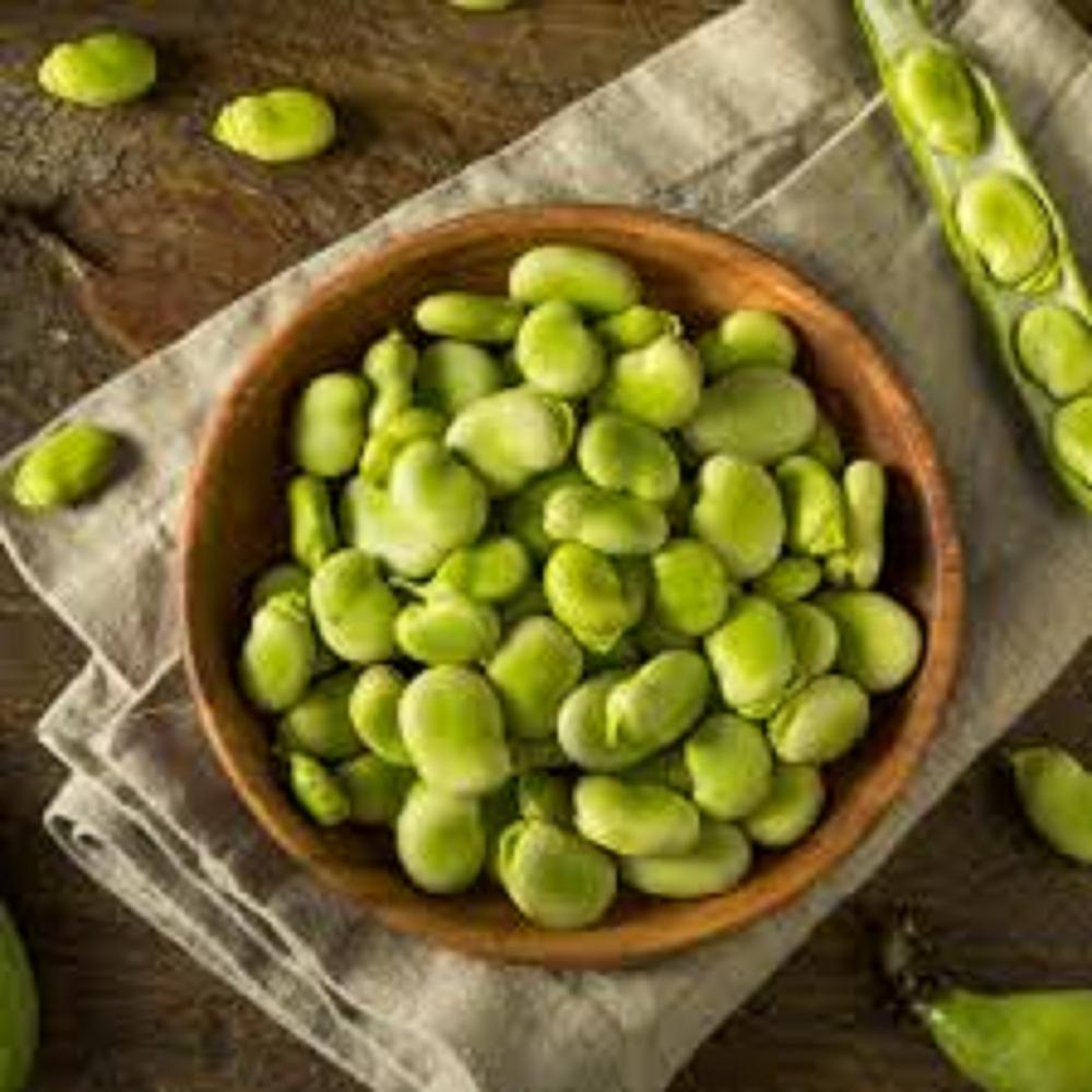 Faba beans