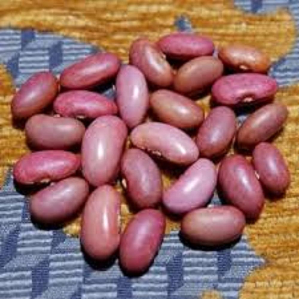 Pink Beans - Shelf Life: 2 Years