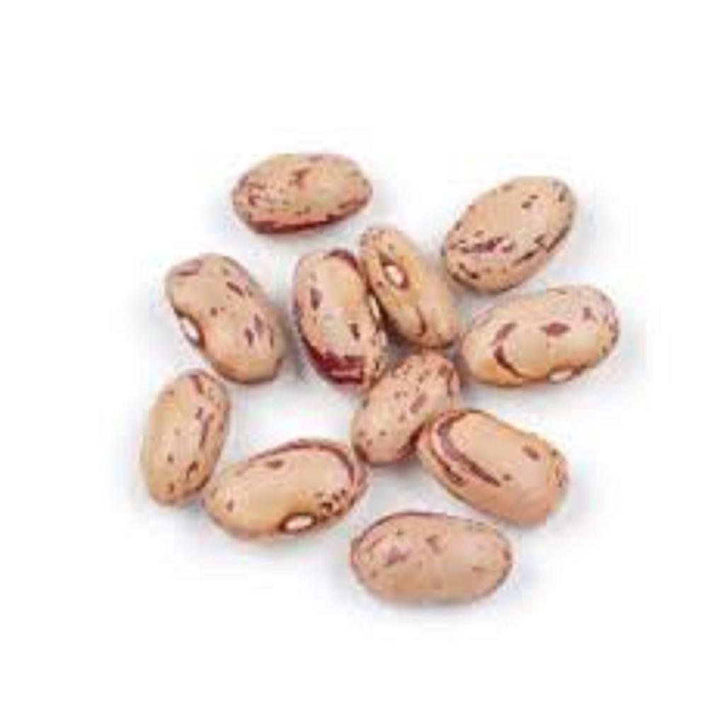 Cranberry beans