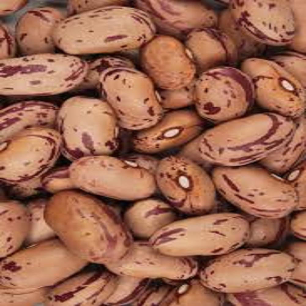 Cranberry Beans - Shelf Life: 2 Years