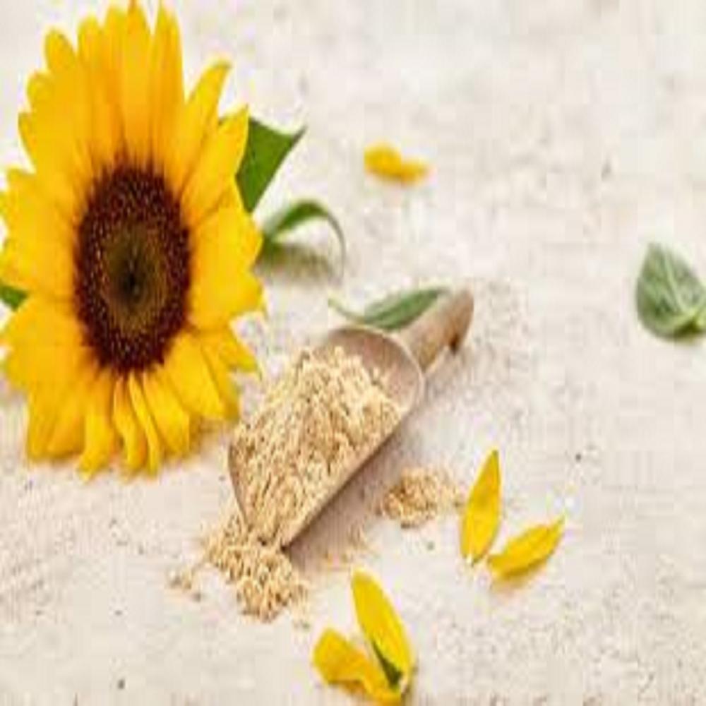 Sunflower lecithin