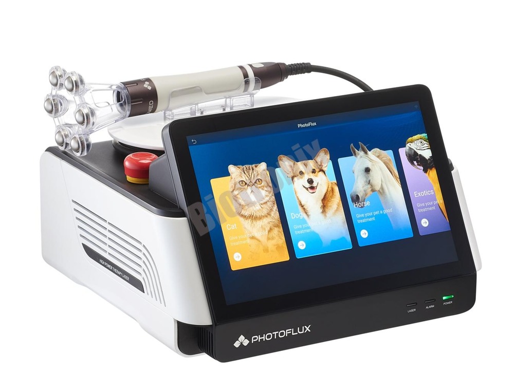 Dual Wavelength Diode Laser 980 1470 Nm For Proctology Hemorrhoids