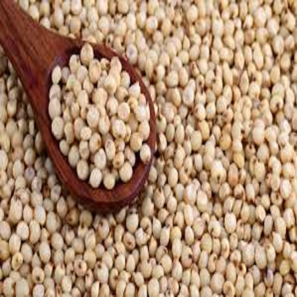 Sorghum starch