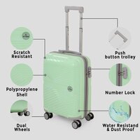 Pistachio green abin trolley suitcase