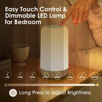 Rechargeable Dimmable Table Lamp