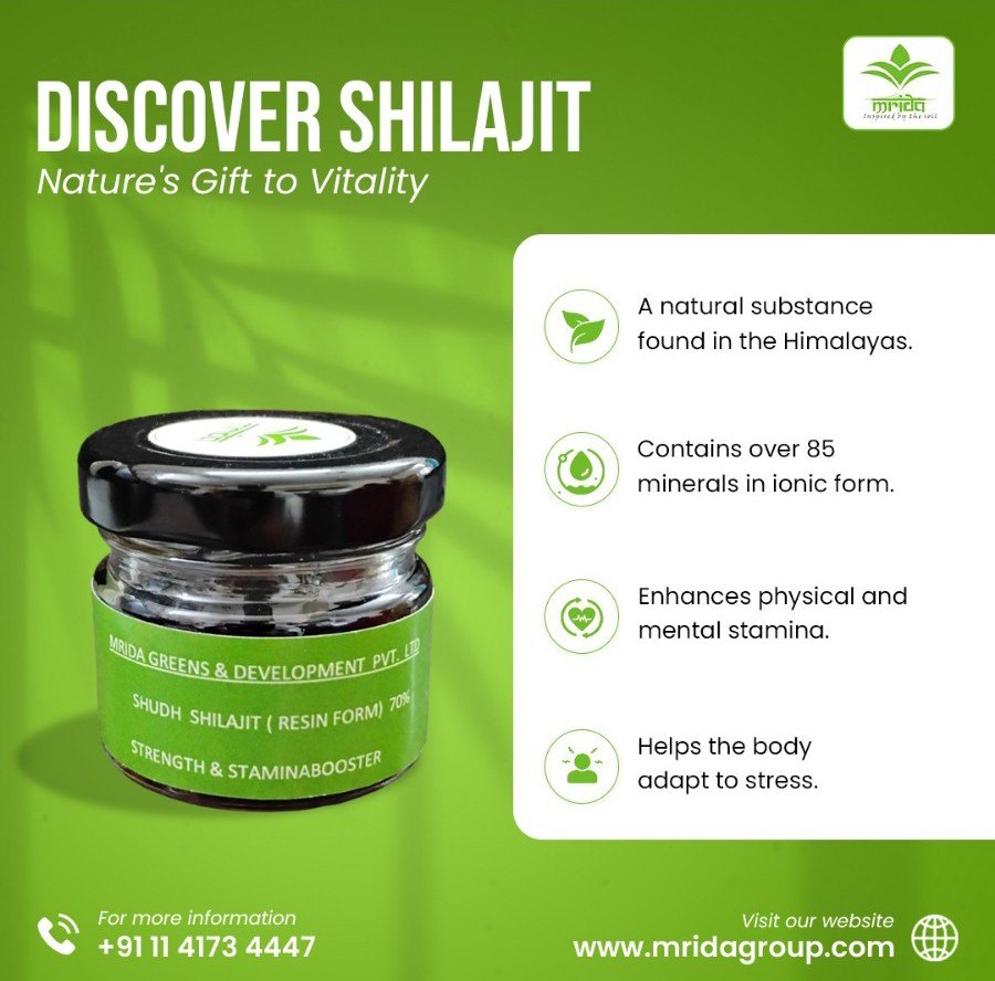 Pure Shilajit Resin
