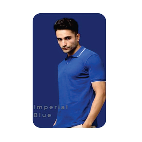 Mens Imperial Blue Cotton T-Shirt - Age Group: Adult