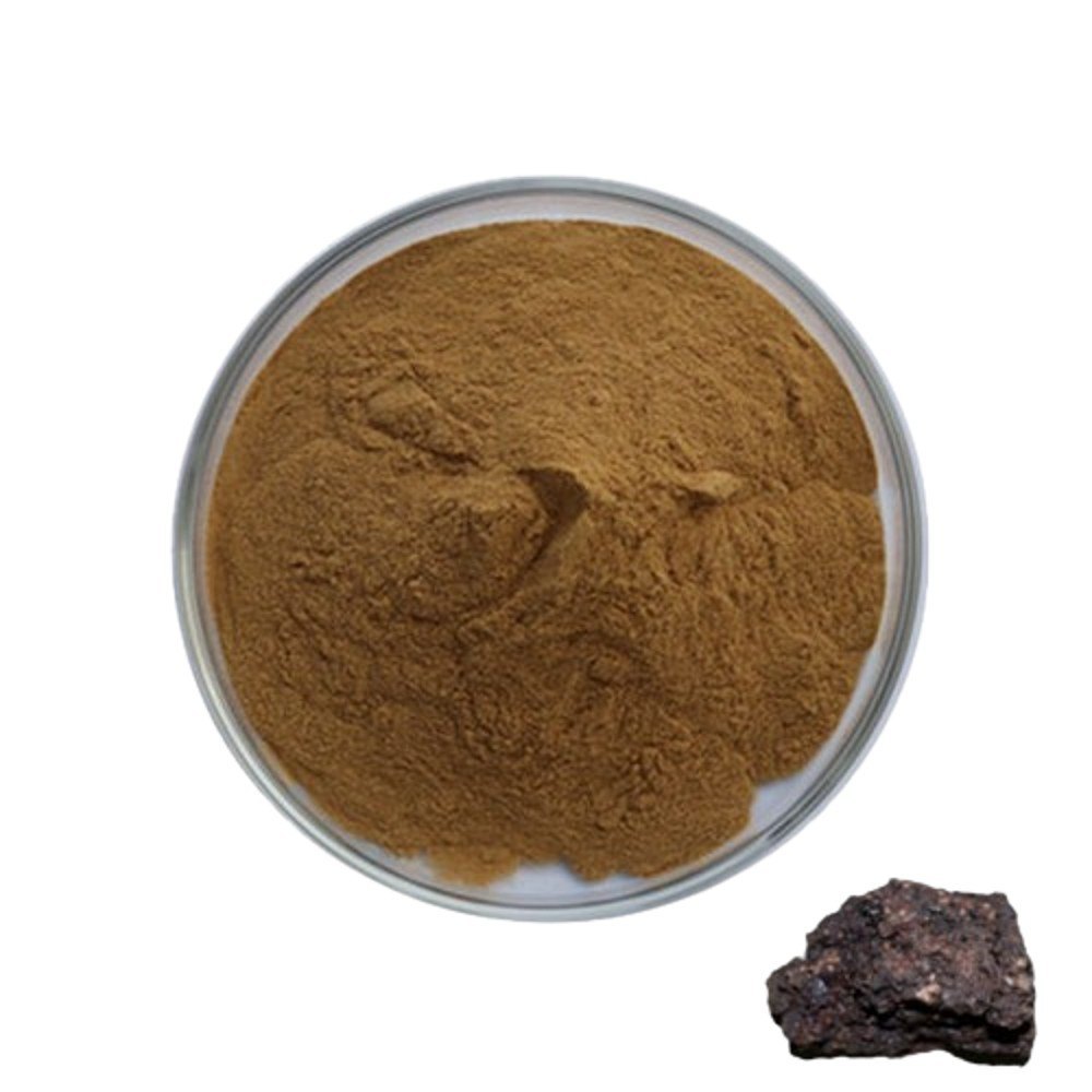 Pure Shilajit Extract Powder - Color: Dark Brown