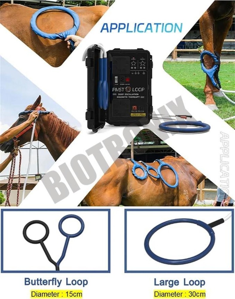PEST Loop Machine Passive Exercise Therapy Equipment for Rehabilitation and Physiotherapy