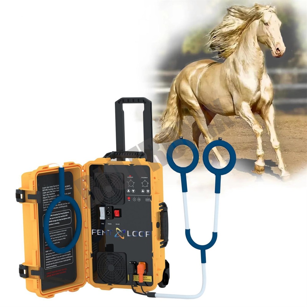 Medical PEST Loop Device for Stroke Rehabilitation and Joint Mobility Training