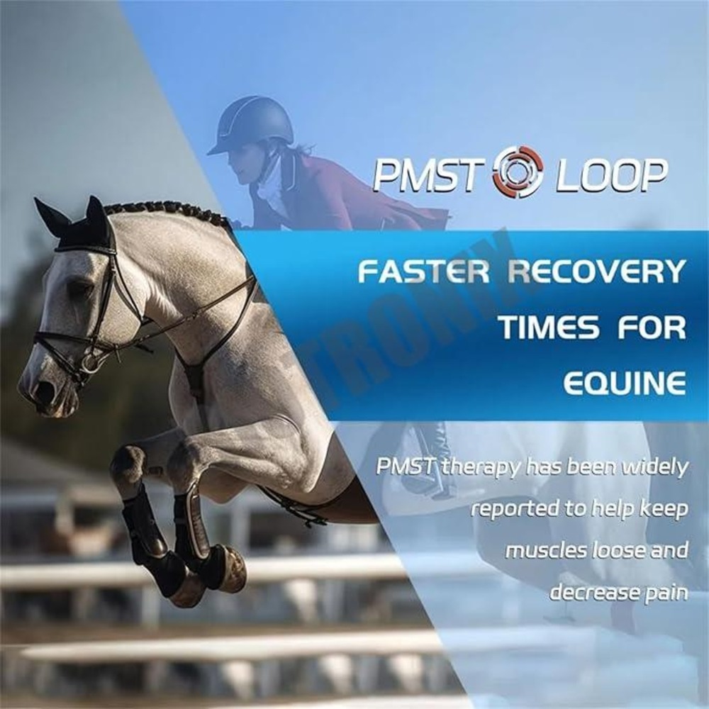 PEST Loop Machine Passive Exercise Therapy Equipment for Rehabilitation and Physiotherapy