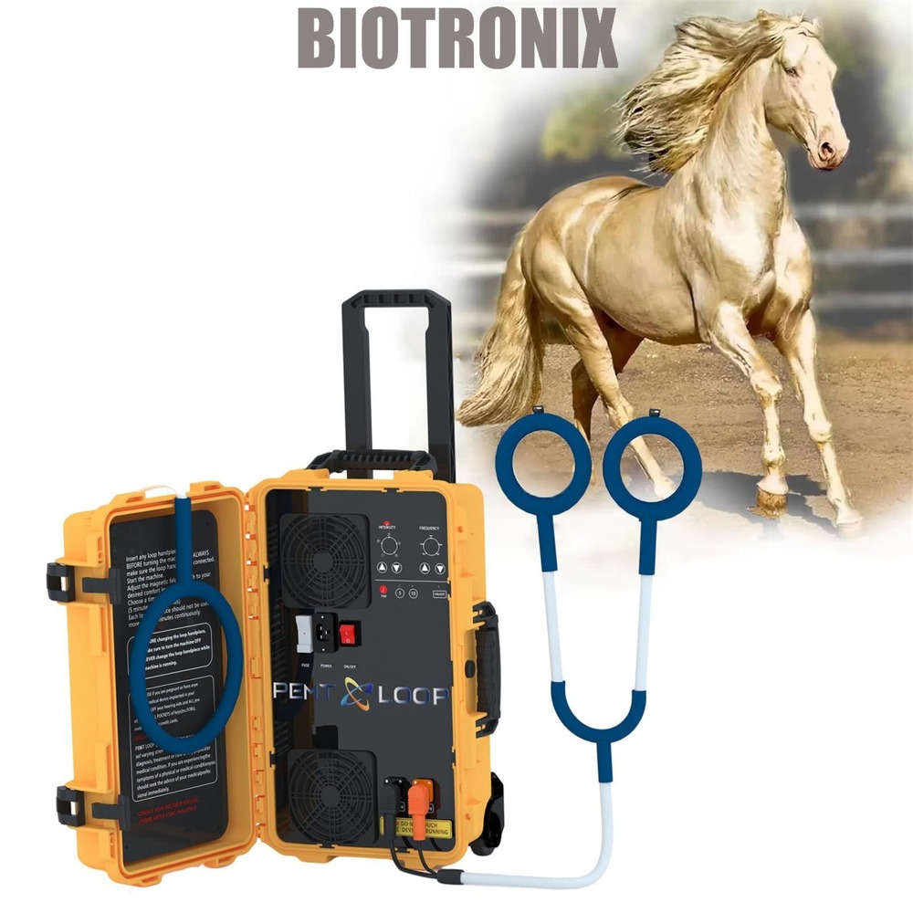 Professional PEST Loop Physiotherapy Equipment for Hospital and Clinic Use