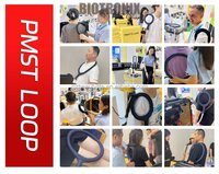 Rehabilitation PEST Loop Machine with Digital Control for Knee and Hip Mobility