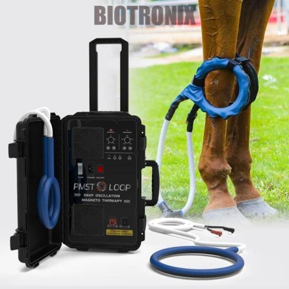 Rehabilitation PEST Loop Machine with Digital Control for Knee and Hip Mobility