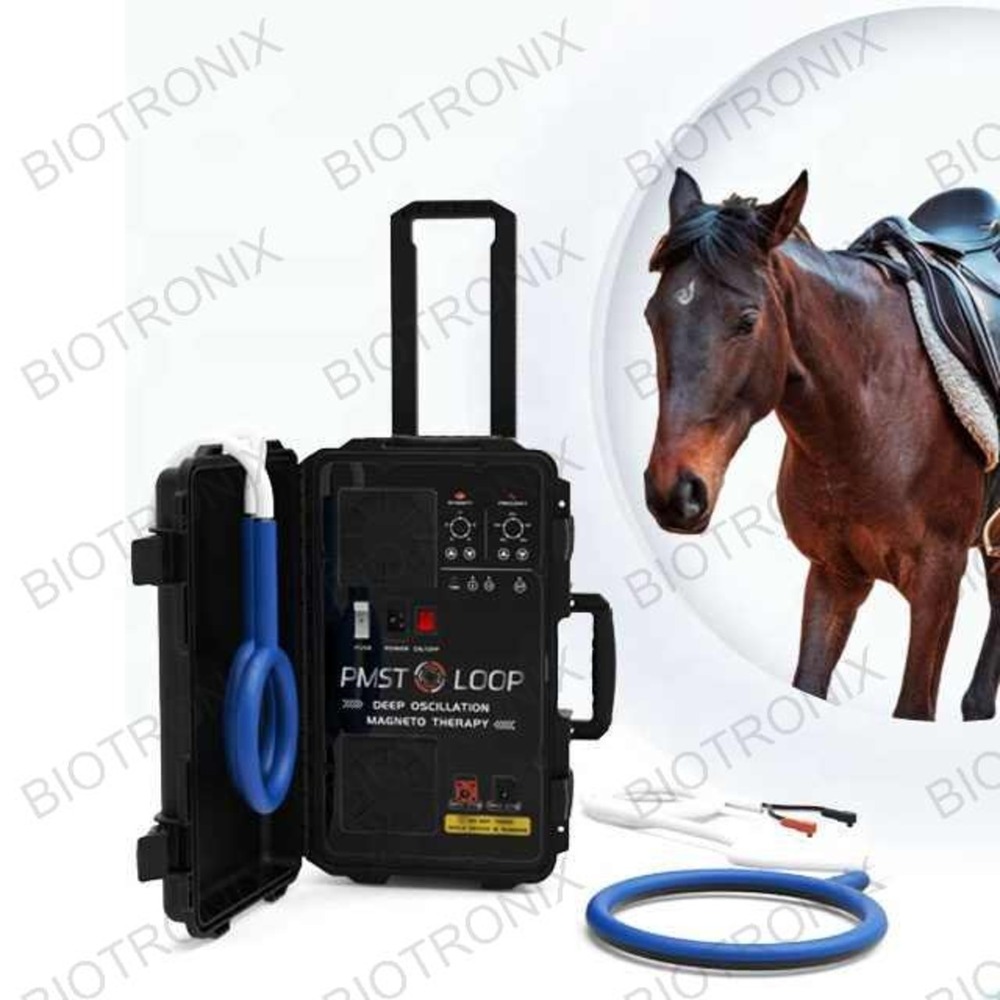 Passive Motion Pest Loop Device For Stroke Patient Rehabilitation And Leg Therapy