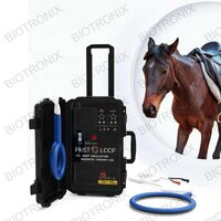 Passive Motion PEST Loop Device for Stroke Patient Rehabilitation and Leg Therapy