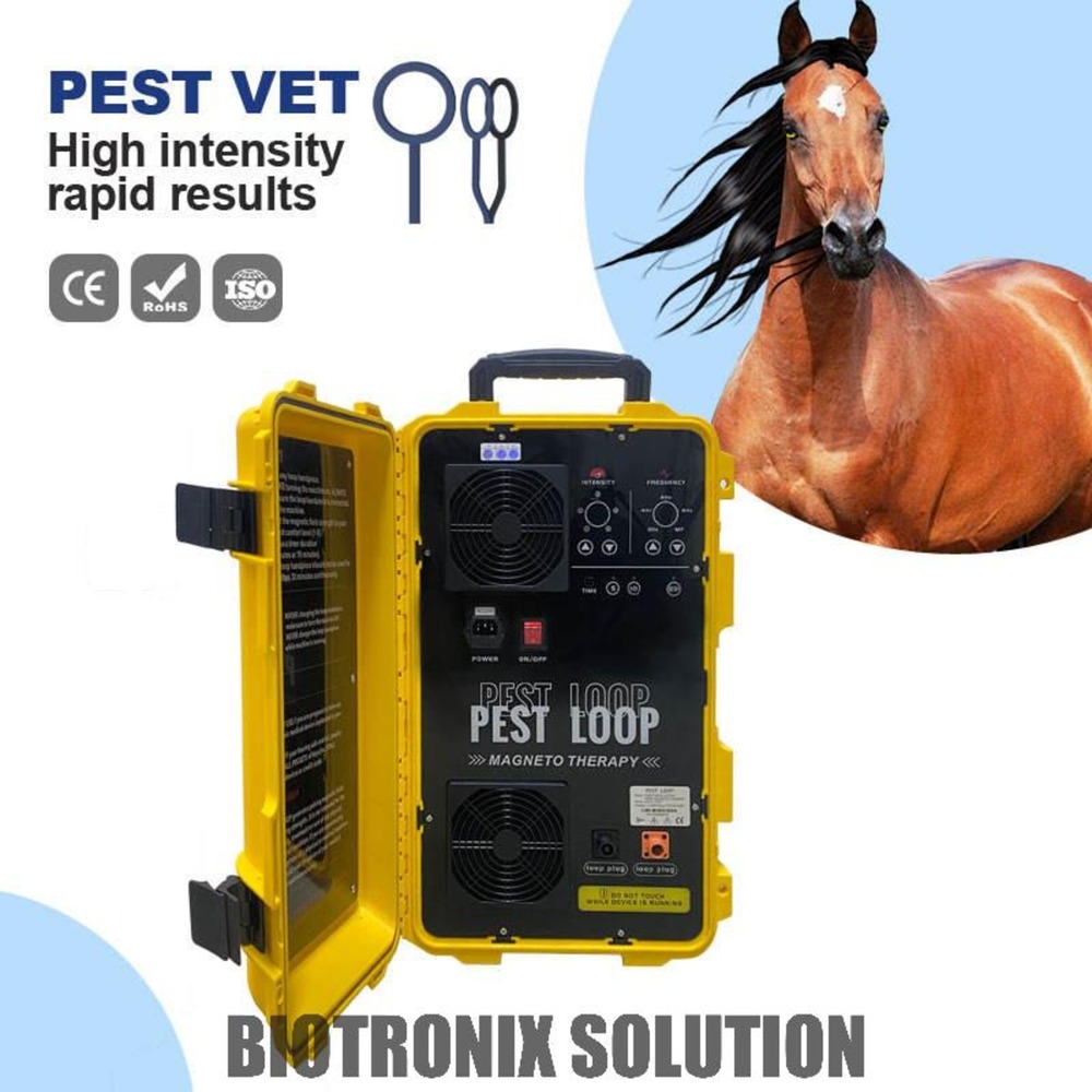 Ce Approved Passive Exercise Pest Loop Machine For Orthopedic Rehabilitation