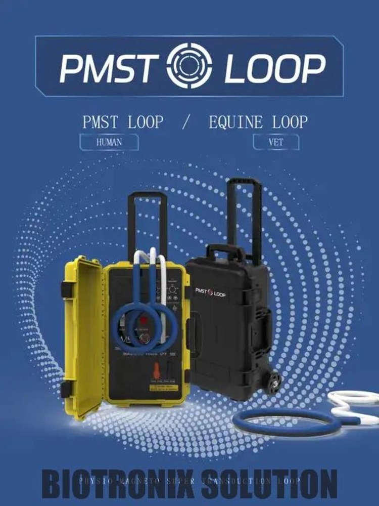 Ce Approved Passive Exercise Pest Loop Machine For Orthopedic Rehabilitation