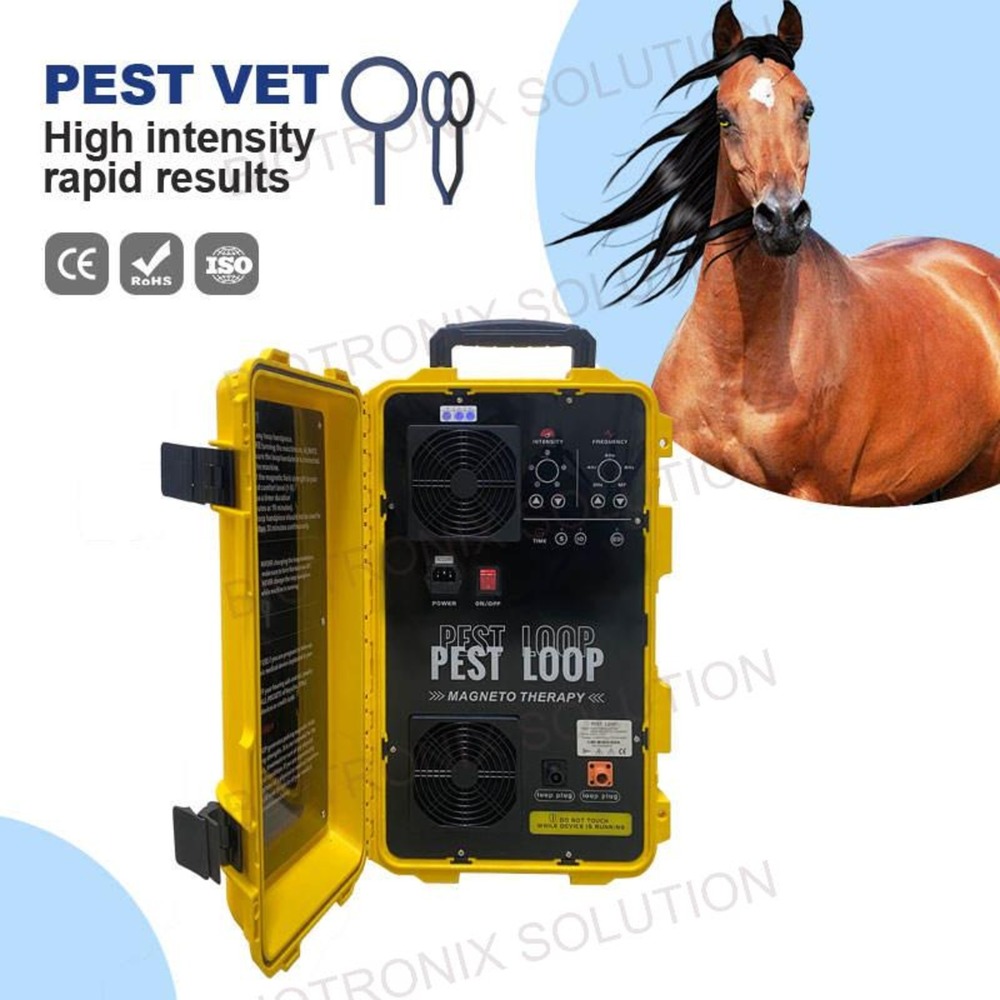Portable PEST Loop Rehabilitation Machine for Clinic, Home, and Hospital Use