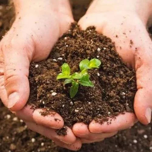Sub Soil Investigation Services