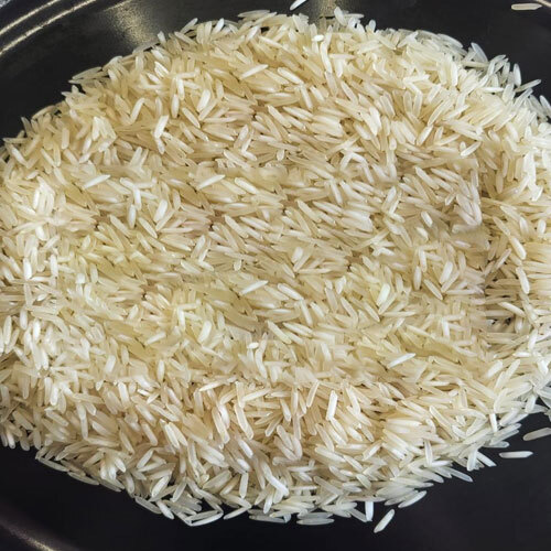1401 Steam Basmati Rice - Cultivation Type: Common